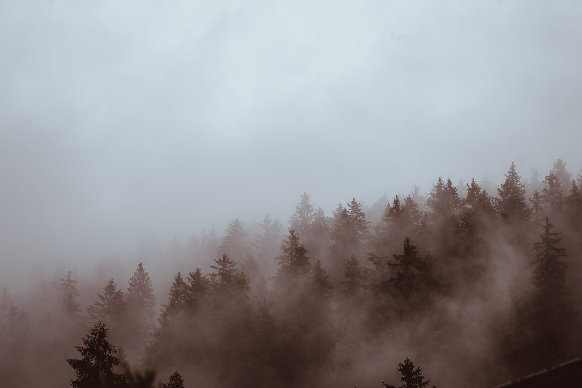 Export x3 1DX23868 Fotoshooting 2018 Annette & Mike Nauders